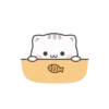 Cute Cats 11