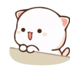Cutie cat 17