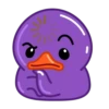 Purple Duck 14