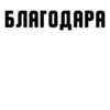 Family Tree Gang 15