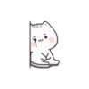 Cute Cats 12