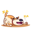 Eddo the Dog 14