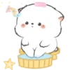 Gatito Blanco💞1🇵🇪Movi 17