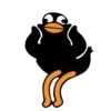 Black Duck 9