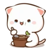 Gifs_Gallery PeachCat Pack 17