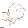 naughty cat 13