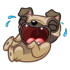 Fred the Pug 13
