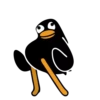 Black Duck 10