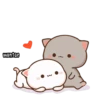 Mochi Cat 15