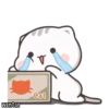 Cutie Cat-Chan 14
