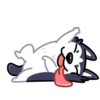 Siberian Husky 13