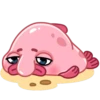 Blobfish 14