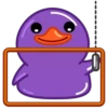 Purple Duck 17