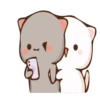 Cat 14