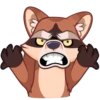 Proha Raccoon 14