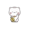 Cute Cats 17