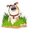 Eddo the Dog 16