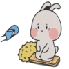 Nuomi Rabbit 2 20