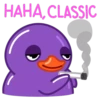 Purple Duck 21