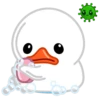 White Duck 10