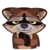 Proha Raccoon 18
