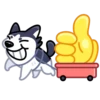 Siberian Husky 15