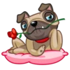 Fred the Pug 16