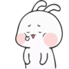 ❀nuomi rabbit 21