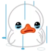 White Duck 11
