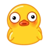 Duck 15