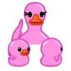 Pink Duck 12