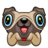 Fred the Pug 17