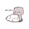 Cute Cats 20