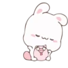 Rabbit 23