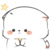 Gatito Blanco💞1🇵🇪Movi 22
