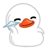 White Duck 12