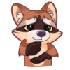 Proha Raccoon 19