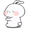 ❀nuomi rabbit 22