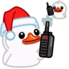 White Duck 14