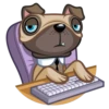 Fred the Pug 18