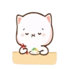 Cat 17