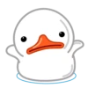 White Duck 15