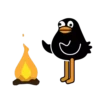 Black Duck 15