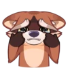 Proha Raccoon 23