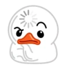 White Duck 16