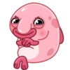 Blobfish 17