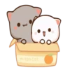 Cat 20