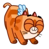 Cupid Kitty 15