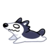 Siberian Husky 18