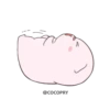 Baby Pig 🐷 28